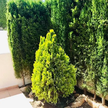 بيت للعطل Casa De Familia كاليبي