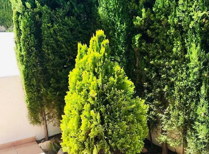 Σπίτι διακοπών Casa De Familia Κάλπε